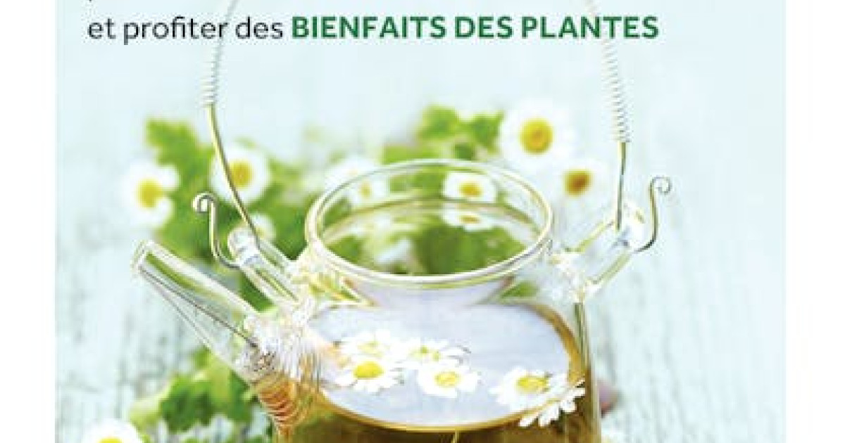 La phytothérapie Une synthèse de référence illustrée pour découvrir — free download