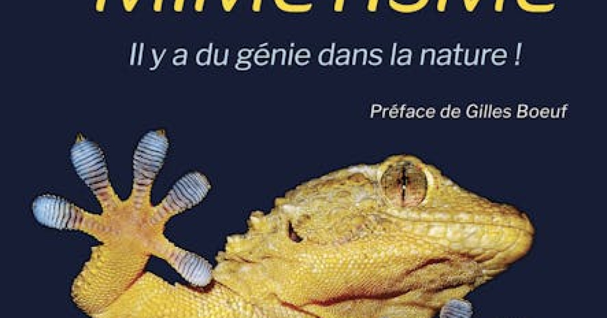 Biomimétisme : Il y a du génie dans la nature ! | Culturethèque de